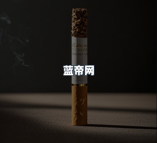 关于蓝帝网